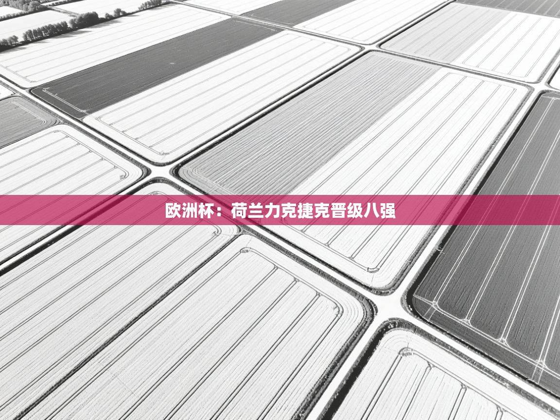 爱游戏娱乐体育官方入口-欧洲杯：荷兰力克捷克晋级八强  第4张