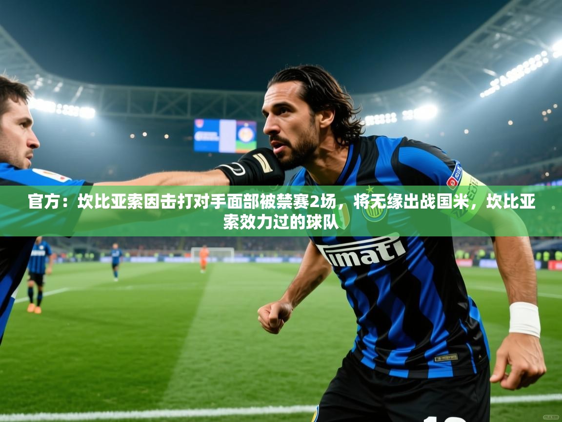 爱游戏体育直播-官方:坎比亚索因击打对手面部被禁赛2场,将无缘出战国米,坎比亚索效力过的球队 第3张