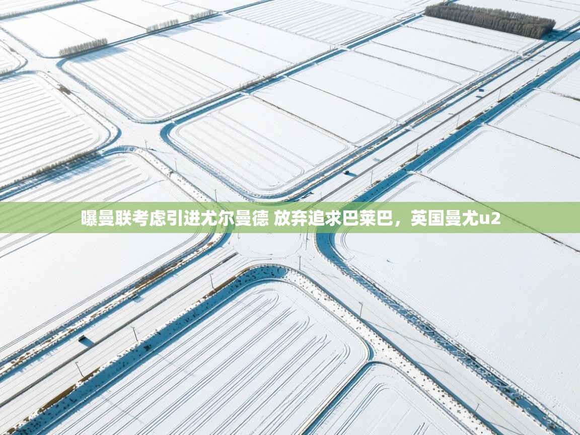 爱游戏体育娱乐赞助罗马-曝曼联考虑引进尤尔曼德 放弃追求巴莱巴，英国曼尤u2  第1张