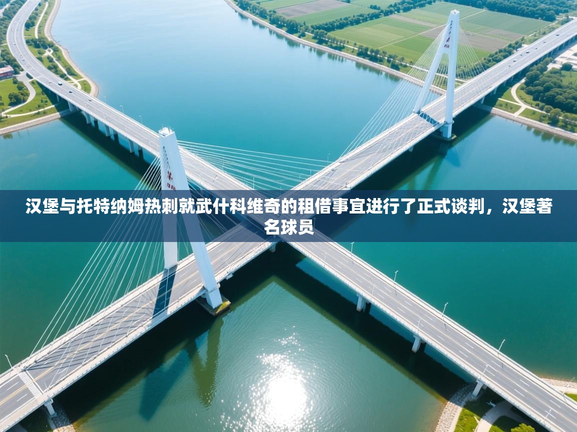 爱游戏体育app-汉堡与托特纳姆热刺就武什科维奇的租借事宜进行了正式谈判，汉堡著名球员  第2张