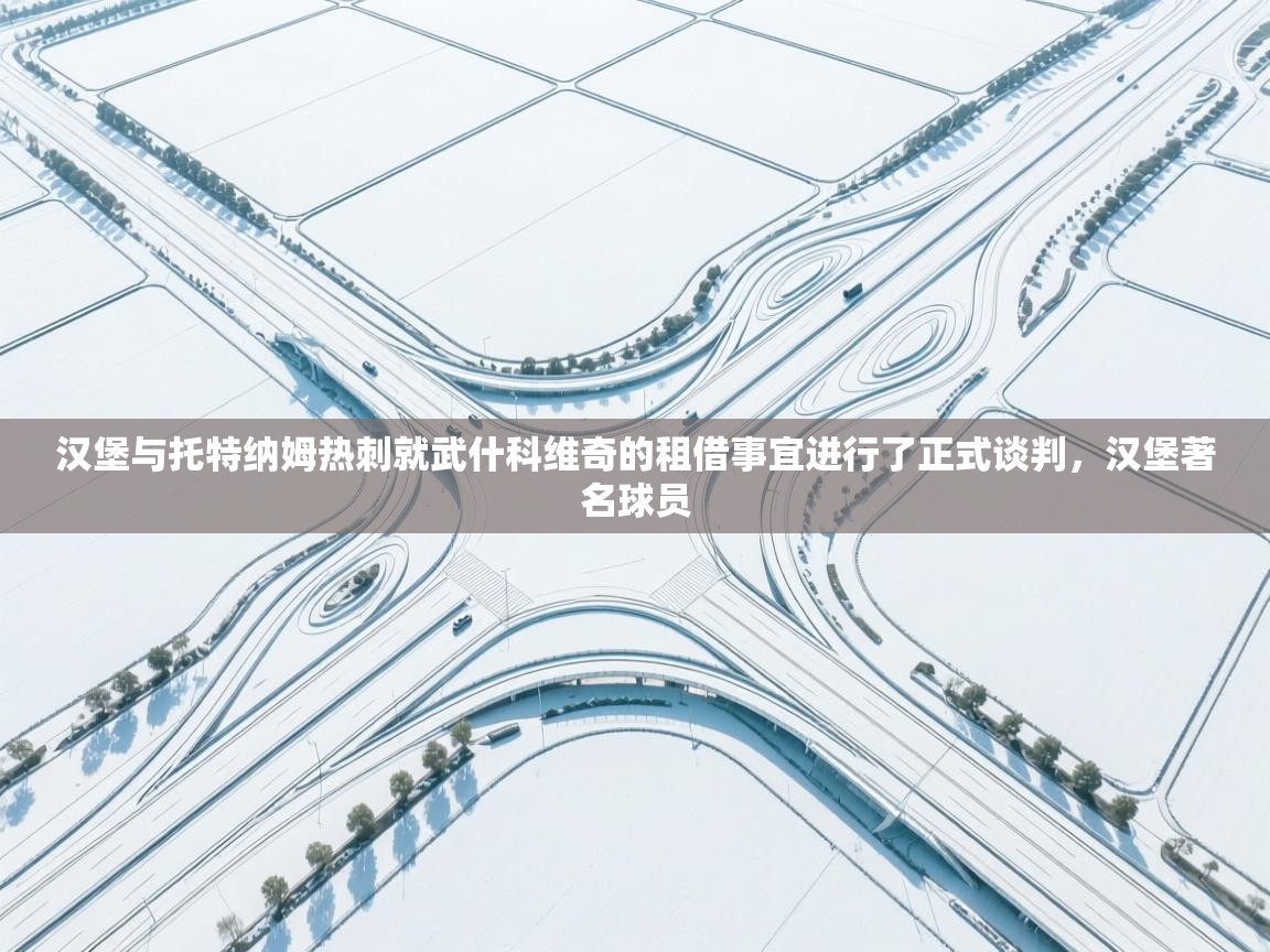 爱游戏体育app-汉堡与托特纳姆热刺就武什科维奇的租借事宜进行了正式谈判，汉堡著名球员  第3张