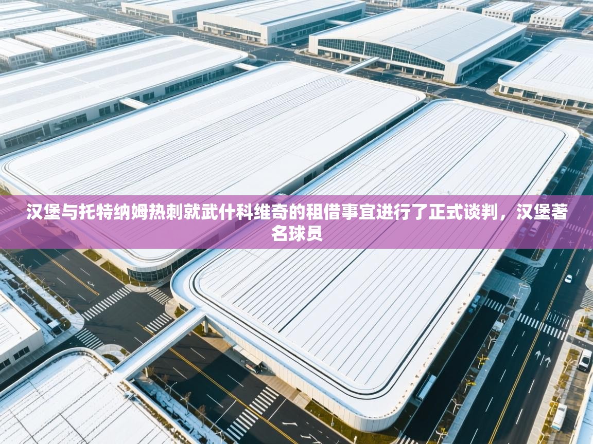 爱游戏体育app-汉堡与托特纳姆热刺就武什科维奇的租借事宜进行了正式谈判，汉堡著名球员  第4张