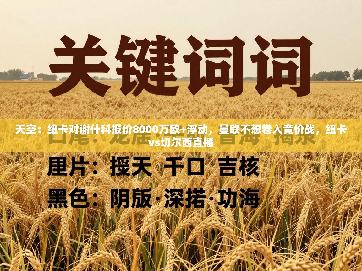 爱游戏娱乐赞助罗马02-天空：纽卡对谢什科报价8000万欧+浮动，曼联不想卷入竞价战，纽卡vs切尔西直播  第2张