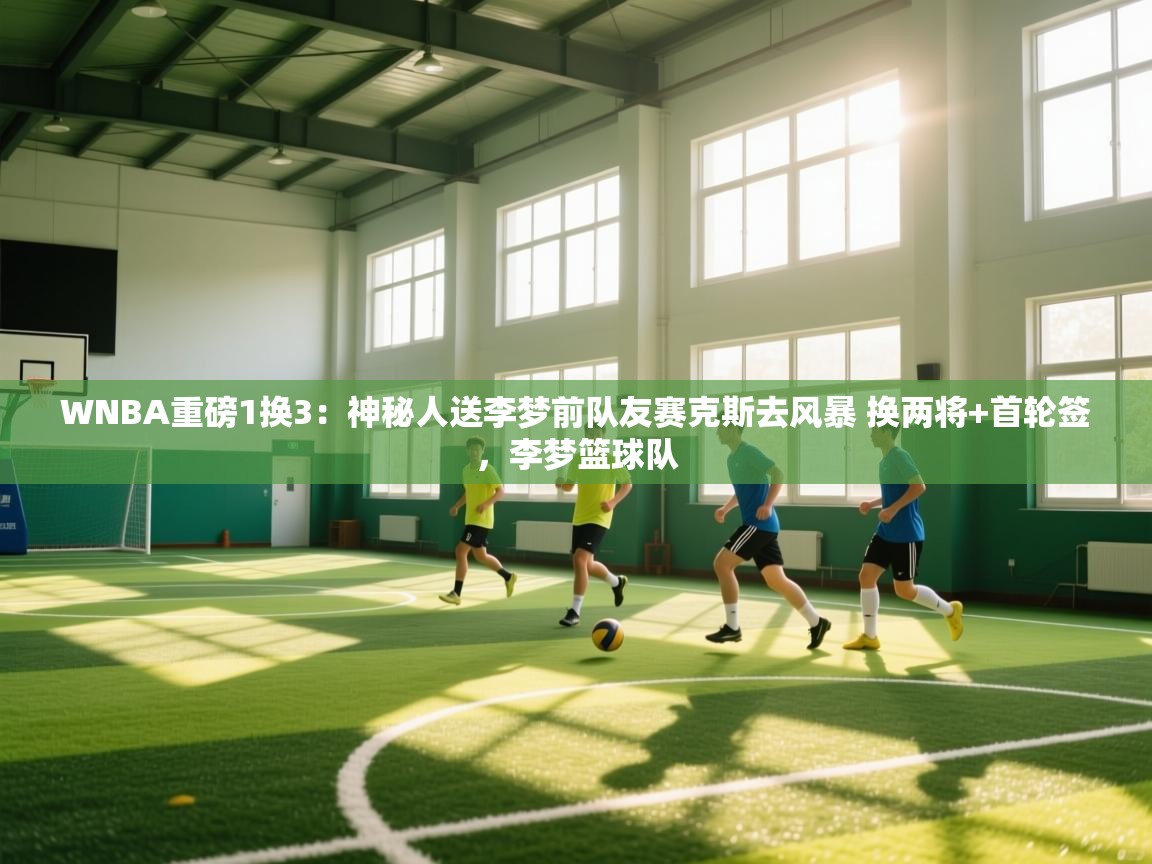 爱游戏ayx官网下载-WNBA重磅1换3：神秘人送李梦前队友赛克斯去风暴 换两将+首轮签，李梦篮球队  第2张