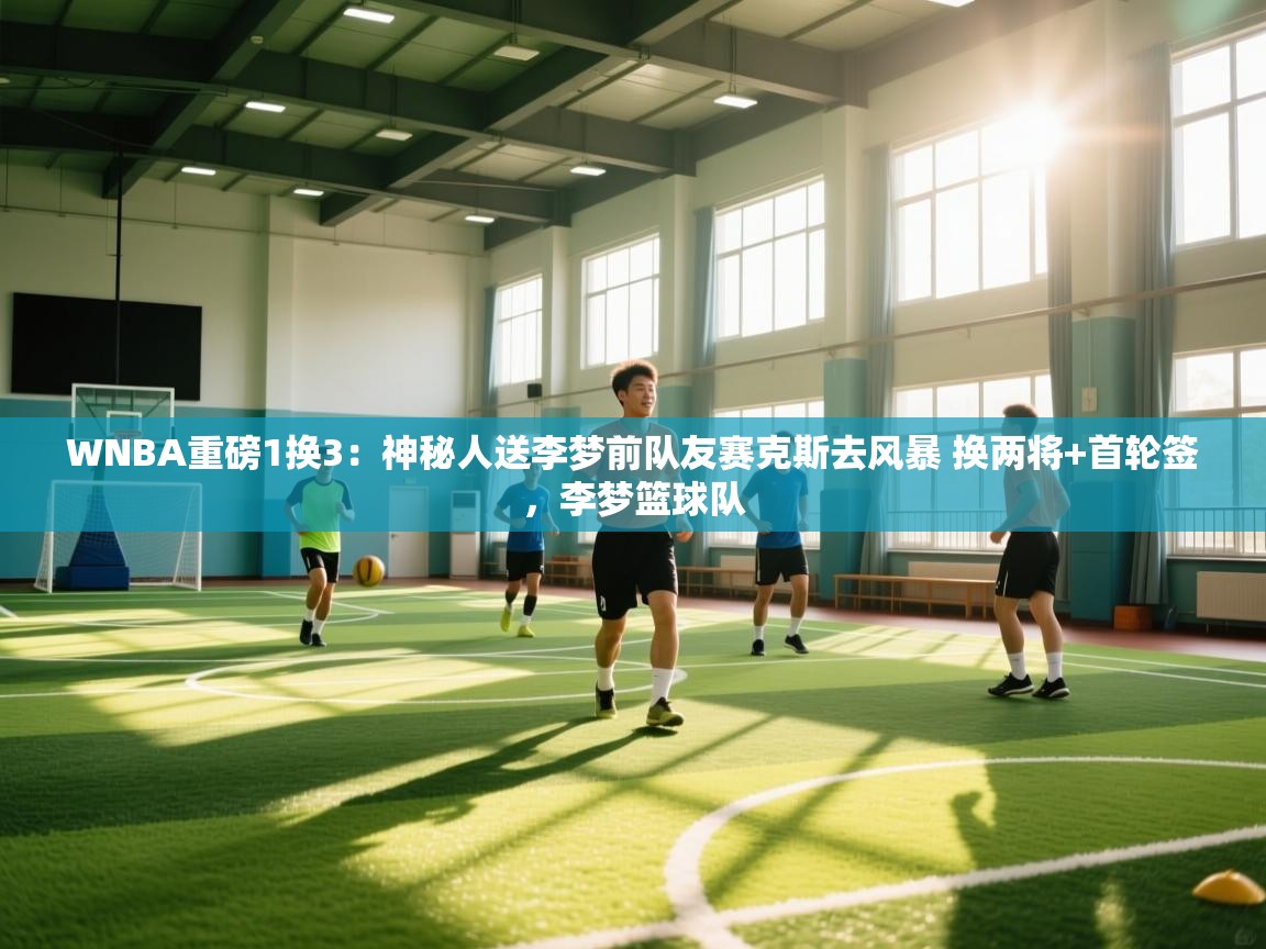 爱游戏ayx官网下载-WNBA重磅1换3：神秘人送李梦前队友赛克斯去风暴 换两将+首轮签，李梦篮球队  第1张