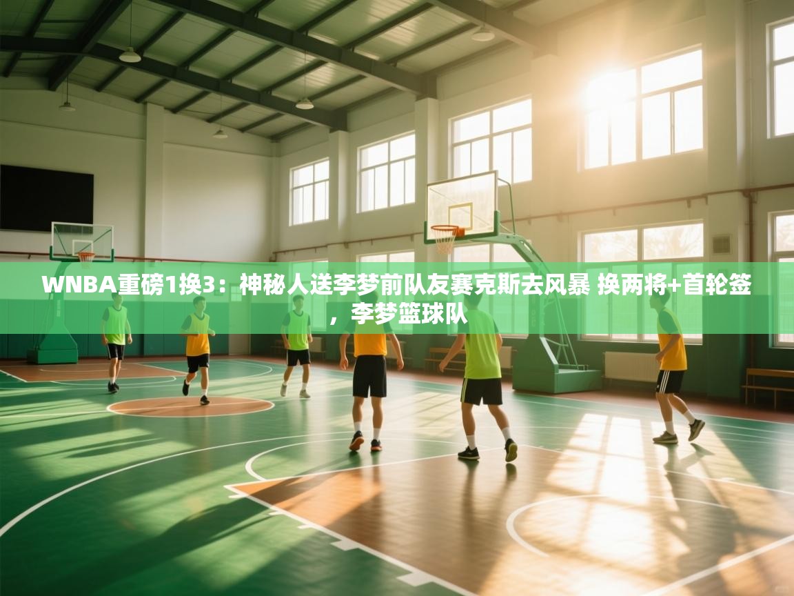 爱游戏ayx官网下载-WNBA重磅1换3：神秘人送李梦前队友赛克斯去风暴 换两将+首轮签，李梦篮球队  第3张