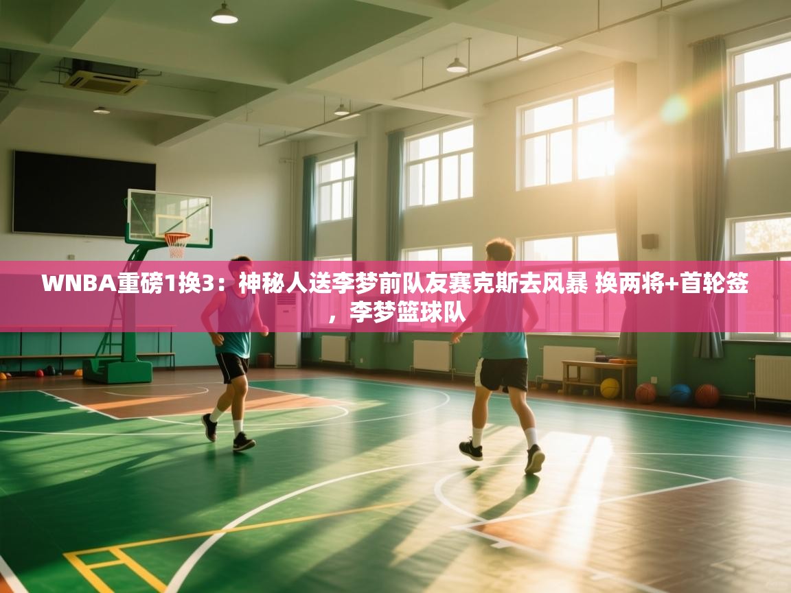 爱游戏ayx官网下载-WNBA重磅1换3：神秘人送李梦前队友赛克斯去风暴 换两将+首轮签，李梦篮球队  第4张