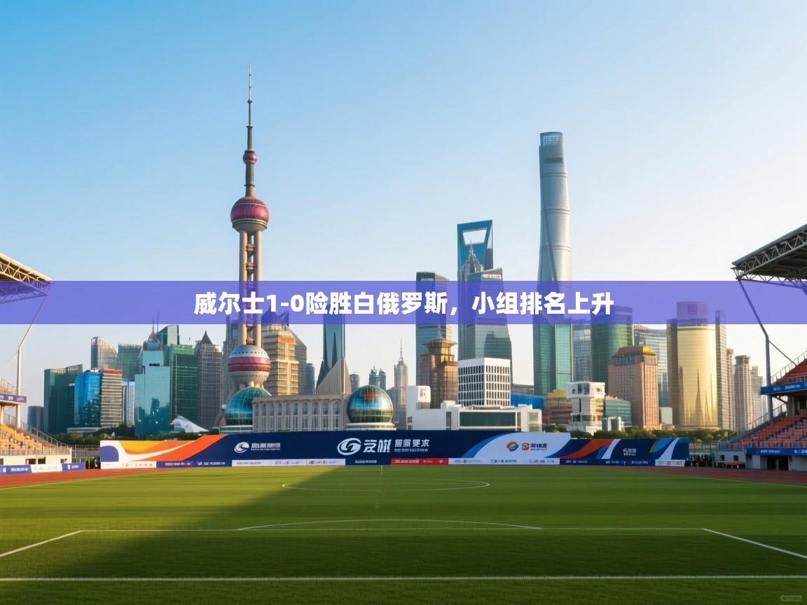 爱游体育直播-威尔士1-0险胜白俄罗斯,小组排名上升 第1张