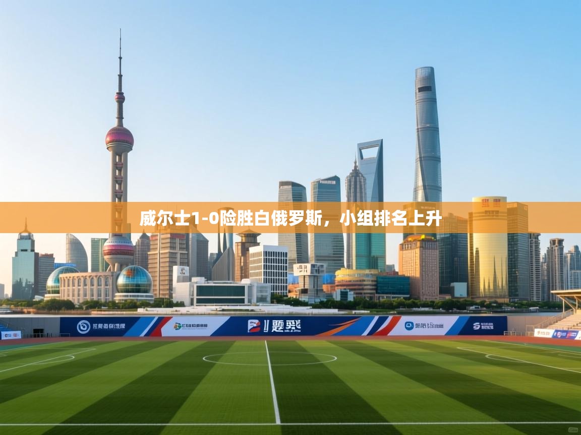 爱游体育直播-威尔士1-0险胜白俄罗斯,小组排名上升 第3张