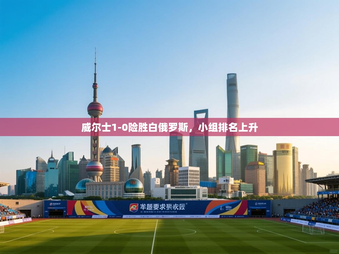 爱游体育直播-威尔士1-0险胜白俄罗斯,小组排名上升 第2张