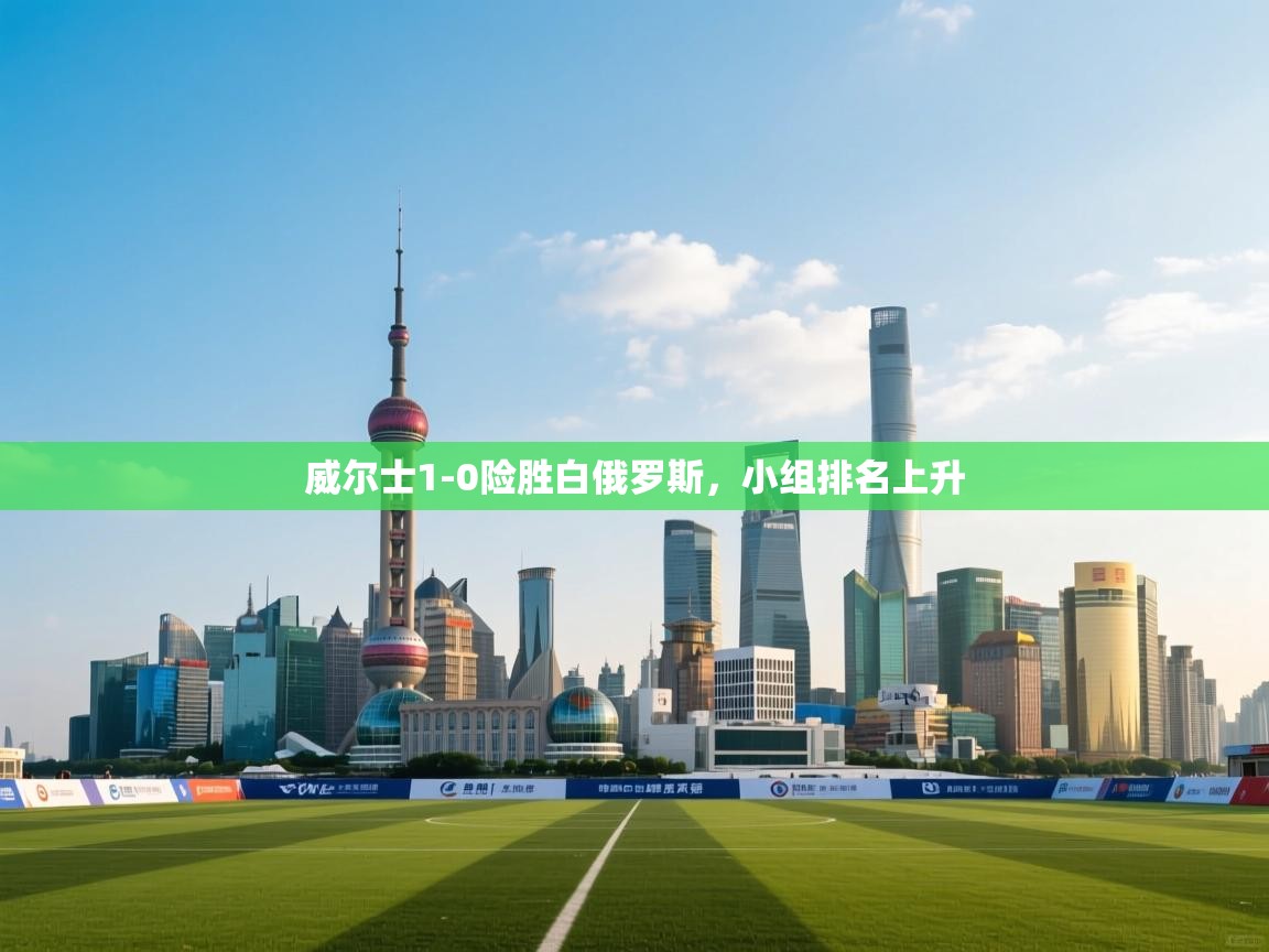 爱游体育直播-威尔士1-0险胜白俄罗斯,小组排名上升 第4张