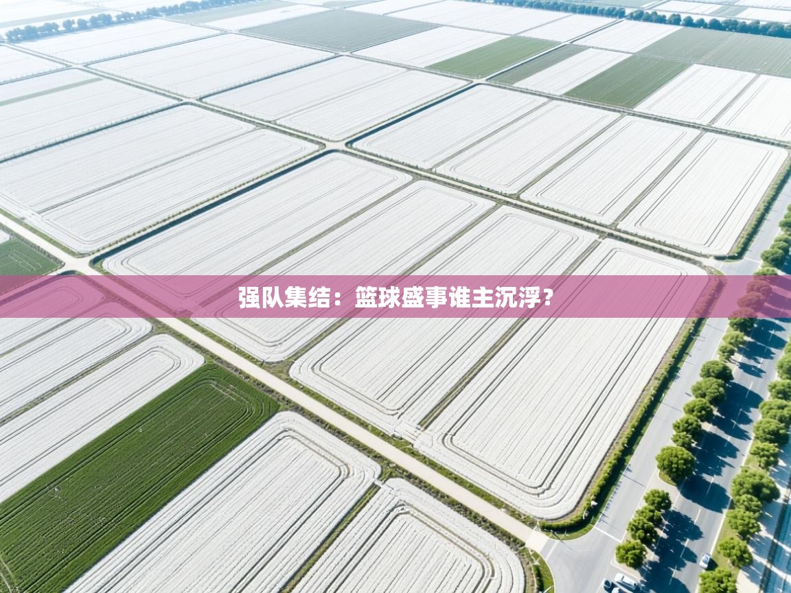 爱游戏ayx官网下载-强队集结：篮球盛事谁主沉浮？  第1张