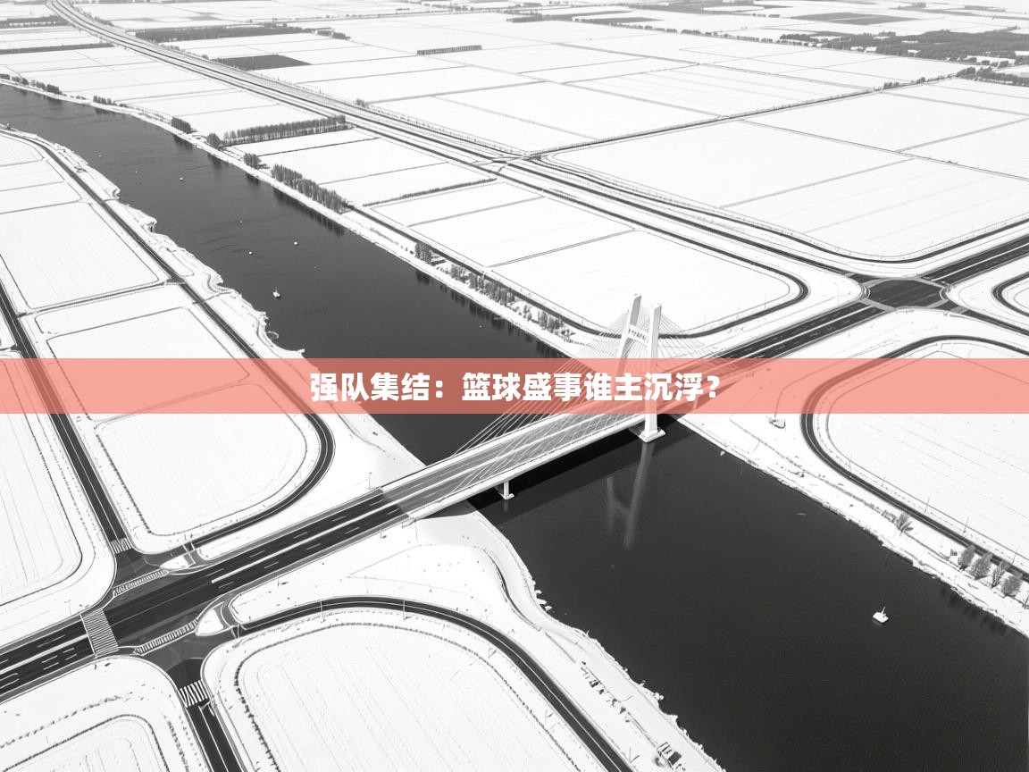 爱游戏ayx官网下载-强队集结：篮球盛事谁主沉浮？  第2张