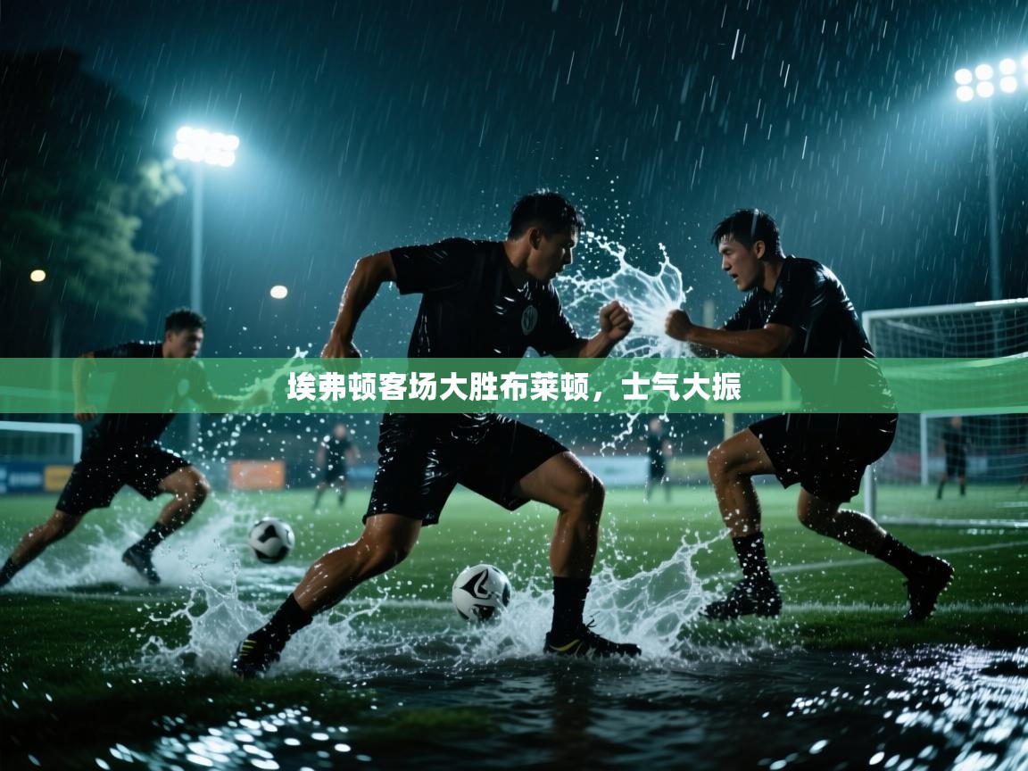 体育互动直播网-埃弗顿客场大胜布莱顿，士气大振  第1张