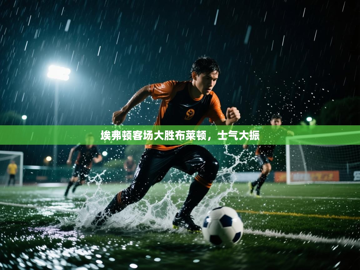 体育互动直播网-埃弗顿客场大胜布莱顿，士气大振  第4张