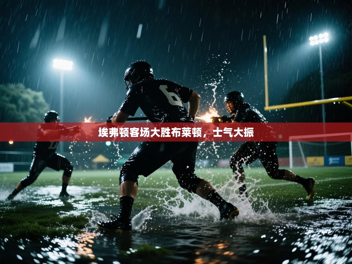 体育互动直播网-埃弗顿客场大胜布莱顿，士气大振  第3张