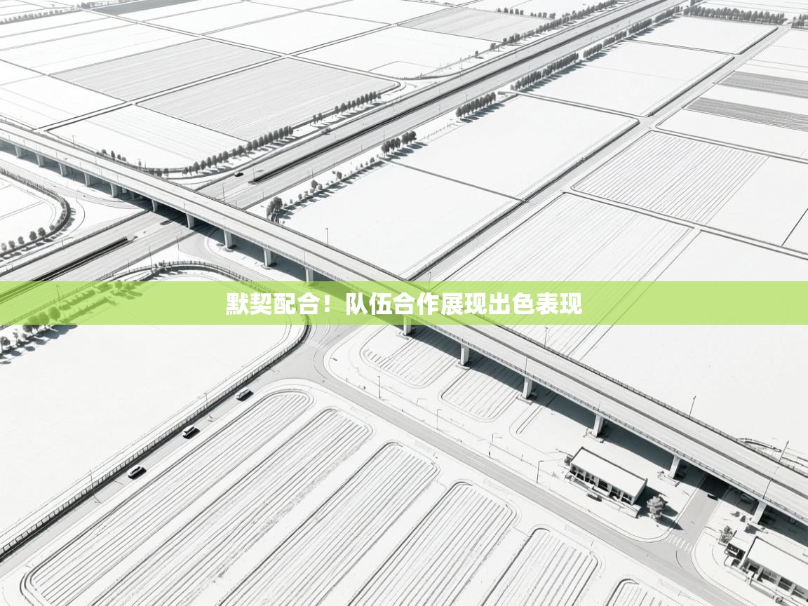 爱游戏体育娱乐马竞赞助商-默契配合!队伍合作展现出色表现 第1张